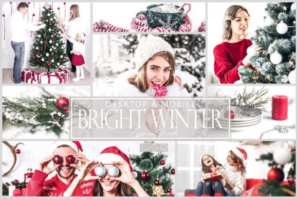 Download 12 Bright Winter Lightroom Preset - Premium Resources